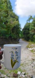 Příroda nedaleko ubytování v soukromí