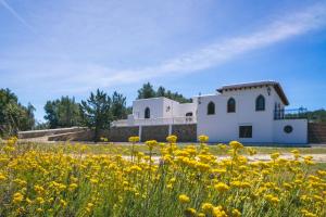 a field of yellow flowers in front of a building at Can Joan Vich ii in Can Furnet
