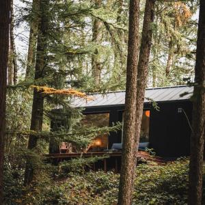 a black cabin in the woods with trees at Resort Wilsumer Berge in Wilsum