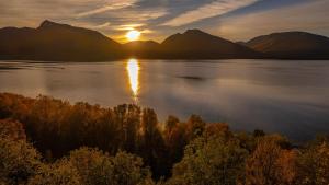 Příroda nedaleko kempu