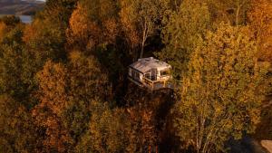 Příroda nedaleko kempu