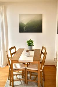 a wooden table and chairs with a potted plant on it at Ferienwohnung Paula in Sankt Georgen im Schwarzwald