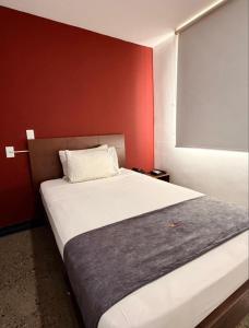 布卡拉曼加HOTEL RIVERA CENTRAL的相册照片 更多19张照片