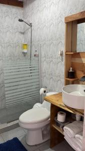 a bathroom with a toilet and a sink and a shower at Hostal Malú in San Pedro de Atacama
