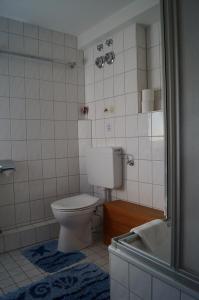 a bathroom with a toilet and a bath tub at Weingut Landmann Ferienwohnungen in Freiburg im Breisgau