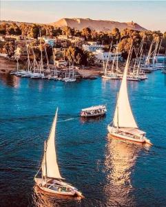 Příroda nedaleko ubytování na lodi