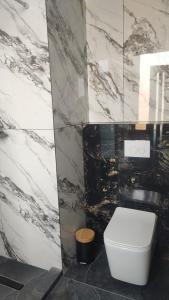 a bathroom with a white toilet and a marble wall at Carul cu Flori in Craiova +7 photos