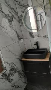 a bathroom with a sink and a mirror on a wall at Carul cu Flori in Craiova