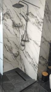 a shower in a bathroom with a marble wall at Carul cu Flori in Craiova