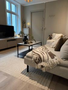 Un televizor și/sau centru de divertisment la The best place to stay in city center - close to everything