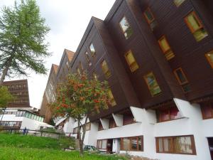 圣莫里斯堡Charmant 2 pièces cabine proche des pistes et commerces à Arc 1600 - FR-1-411-929的前面有一棵树的建筑物