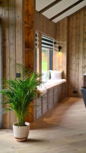 een kamer met een bed met een plant erin bij Garden Villa ' Lava Forest ' in Selfoss