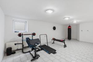 een kamer met diverse fitnessapparaten aan de muur bij Black Dragon Haven Villa with Pool Sauna Jacuzzi BBQ & Parking for 8 Cars in Praag