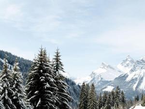 a group of snow covered trees with mountains in the background at Studio en front de neige à Flaine, idéal pour skieurs, 4 pers, animaux admis - FR-1-687-58 in Arâches-la-Frasse