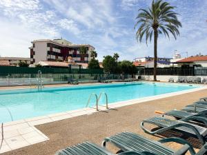 une piscine avec des chaises longues et un palmier dans l'établissement Oasis Beach Home II Playa del Inglés, à Playa del Ingles