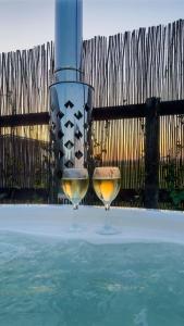 - deux verres de vin assis à côté de la piscine dans l'établissement 't Skagerwad, à Oudesluis