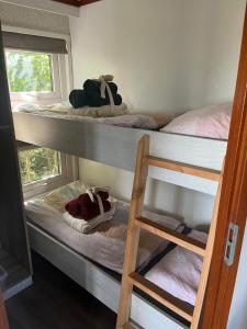 3 lits superposés dans un dortoir avec une échelle dans l'établissement 't Skagerwad, à Oudesluis 8 autres photos