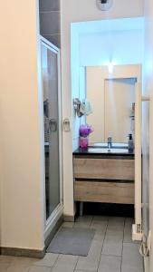 un baño con lavabo y espejo en Cocon Colombes - close to La Défense and Paris, en Colombes
