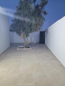 a room with a tree in the middle of a wall at Mechi House in Djerba