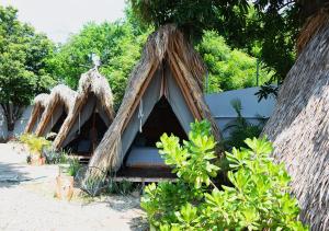Gallery image of Tribu Tipis & Surf in Puerto Escondido +45 photos