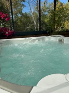 Bazén v ubytování Résidence belle créole I Le Balisier I Duplex avec jacuzzi à 15min de Disneyland Paris nebo v jeho okolí