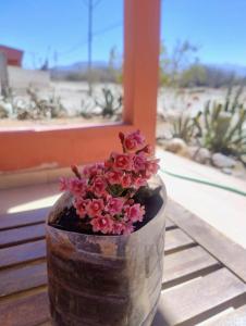 a vase filled with pink flowers sitting on a table at La Casita de Seclantás in Seclantás