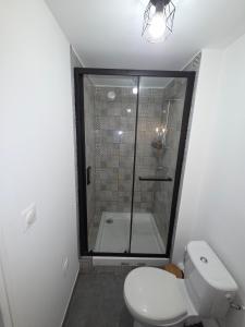a bathroom with a shower and a white toilet at Sweet Cocon Studio in Étampes-sur-Marne
