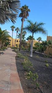 a sidewalk with palm trees and a building at Casa Galena in Corralejo