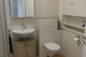 a small bathroom with a toilet and a sink at Haus Kathan in Bechtersweiler +9 photos