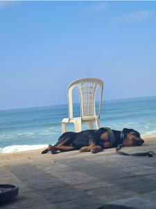 Φυσικό τοπίο κοντά σε αυτό το διαμέρισμα