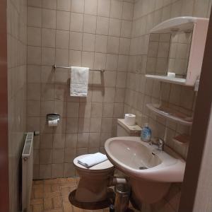 a bathroom with a sink and a toilet at Landhaus im kühlen Grunde Garni in Pracht +33 photos