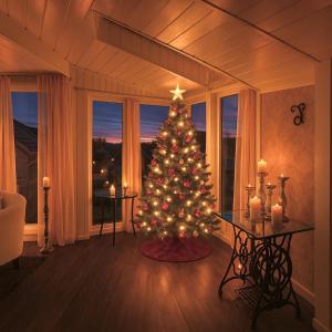 a christmas tree with lights in a room with a window at Westerwald Hideaway 