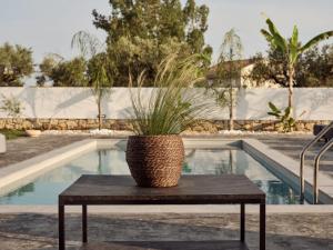 a potted plant sitting on a table next to a pool at Cozy Aura Residence, by TK Property Management in Kalpaki