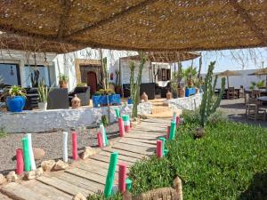 阿加迪尔Riad & Restaurant Ocean Beach Douira的一只猫坐在木栈道下的草地上 更多183张照片