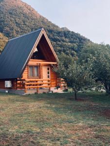 Příroda nedaleko chaty