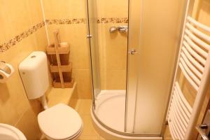 a bathroom with a toilet and a glass shower at Vila Foc Alb Apartamente-Busteni in Buşteni +33 photos