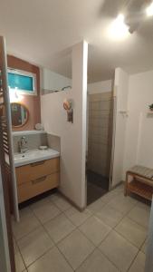 Ένα μπάνιο στο Calme et lumineux - Proche Zoo de Beauval et Châteaux de la Loire