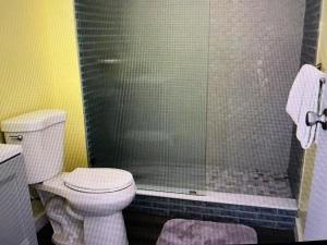 ein Badezimmer mit Toilette und Dusche in der Unterkunft Condo 326 in Cedar Key