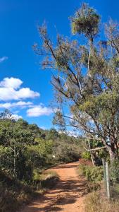 una strada sterrata con alberi e un cielo blu di Zaca Domos l Ouro Preto - MG a Mariana