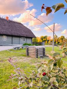 a house in a field with a building at Li Amber Apartment Carnikava in Carnikava