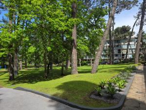 Κήπος έξω από το Arcobaleno Anillo 1