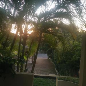 Φωτογραφία από το άλμπουμ του St Lucia Safari Lodge Two Bedroom Unit σε St Lucia +14 φωτογραφίες