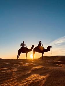 Επισκέπτες που μένουν στο Connect Nomad - Luxury Camp Merzouga