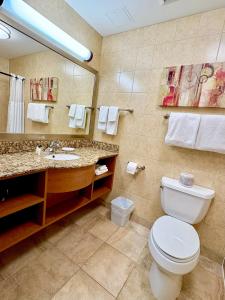 une salle de bain avec toilettes, lavabo et miroir dans l'établissement Waterloo Suites Hotel, Trademark Collection by Wyndham, à Waterloo