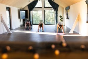 a group of people doing yoga in a room at Casa de Sus - Pe Dealul Mieilor - Cabană în Măguri, Cluj in Măguri