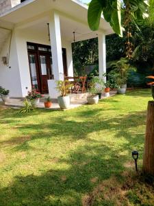 a house with potted plants in the yard at Villa Koratuwa in Ahangama