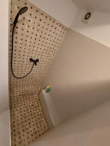 Ένα μπάνιο στο Garsoniera zona centrala Craiova