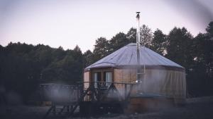 a small yurt with a ladder and a pole at Łąka Gwiazd Jurty Czapla in Wałcz