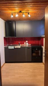 AlpinRetro-Apartment I Stylisch & zentral I See & Berge I Luzern I Zürich I Stoos I Rigi في شويز: مطبخ مع أجهزة سوداء وبلاط أحمر