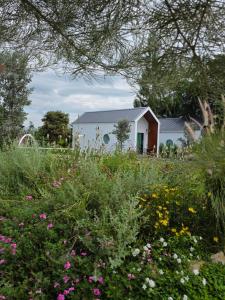 呵叻Wind in the Wild Khao Yai的花田,有房子在后面